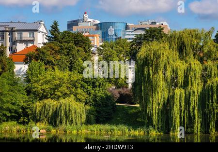 Varsovie, Pologne - 11 juillet 2021 : parc d'étang Morskie Oko sous la rue Pulawska et Dworkowa dans le quartier de Mokotow avec vue sur le centre-ville de Srodmiescie de Varsovie Banque D'Images