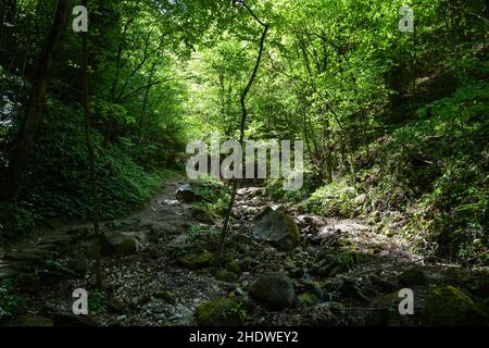 rastenbachklamm Banque D'Images