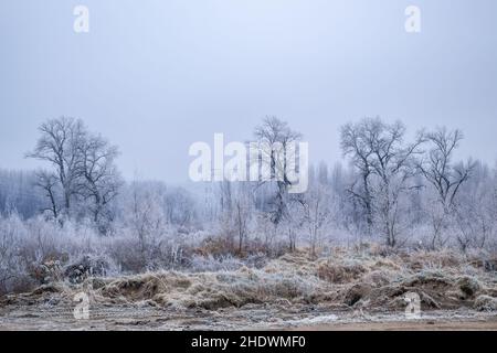 Panorama du affluent gelé du Danube près de la ville de Novi Sad. Banque D'Images