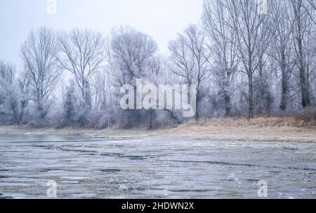 Panorama du affluent gelé du Danube près de la ville de Novi Sad. Banque D'Images