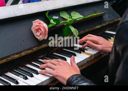 Les mains d'un musicien de rue jouant le piano sur lequel repose une rose Banque D'Images