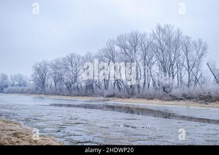 Panorama du affluent gelé du Danube près de la ville de Novi Sad. Banque D'Images