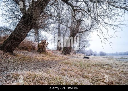 Panorama du affluent gelé du Danube près de la ville de Novi Sad. Banque D'Images