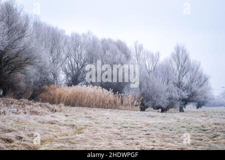 Panorama du affluent gelé du Danube près de la ville de Novi Sad. Banque D'Images