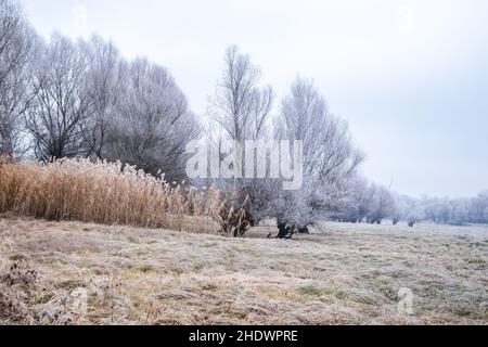 Panorama du affluent gelé du Danube près de la ville de Novi Sad. Banque D'Images