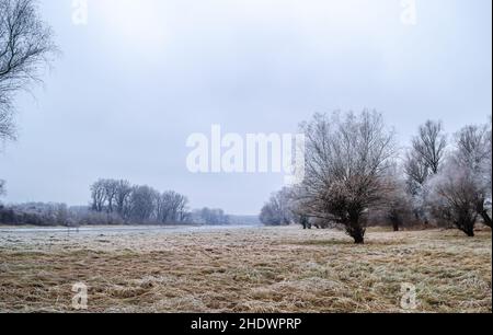 Panorama du affluent gelé du Danube près de la ville de Novi Sad. Banque D'Images