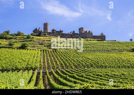 vallée de la moselle, château de durant, vignes, vallées de la moselle Banque D'Images