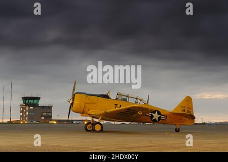 Navy Wings Harvard IV , AT6, G-BSBG, Banque D'Images