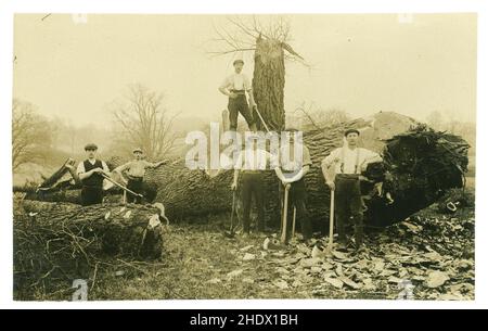 Carte postale originale du début des années 1900 de travailleurs de la propriété qui bombardent des arbres, avec des haches, des chênes, des ormes? À Enville, éventuellement dans le domaine d'Enville Hall, dans le Staffordshire rural, en Angleterre, au Royaume-Uni, au début des années 1920 Banque D'Images