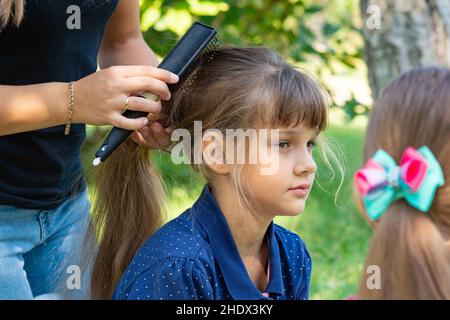 fille, coiffure, tresses, peigne, filles,cheveux, cheveux, coiffures Banque D'Images