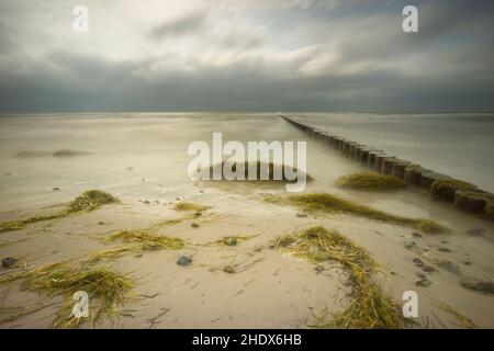 mer baltique, groyne, mer baltique, groynes Banque D'Images