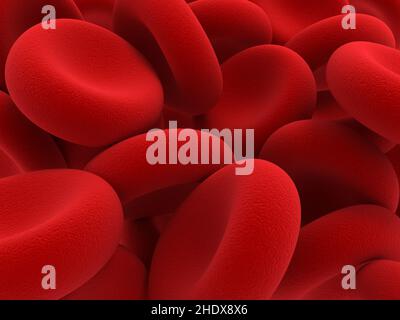 globules rouges, plaquettes, cellules sanguines, plateau, cellules sanguines Banque D'Images