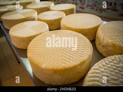 fromages, fromagerie, fromages, fromageries Banque D'Images