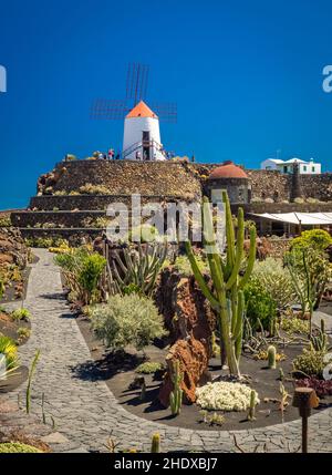 lanzarote, jardin de cactus, jardin de cactus, lanzarotes Banque D'Images