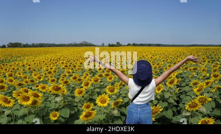 Femme asiatique debout et bras ouverts dans le champ de tournesol le jour ensoleillé Banque D'Images