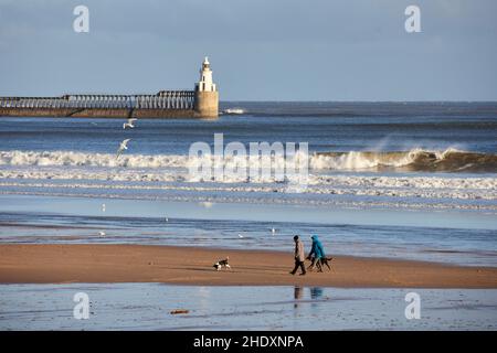 Blyth Harbour Lighthouse à North Tyneside, Tyne & Wear, Angleterre chien marcheur sur Blyth Beach Banque D'Images