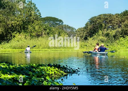 Kayak sur le Rio Istian, île d'Ometepe, Nicaragua Banque D'Images