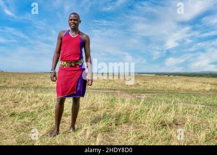 Masai Mara, Kenya - 29 septembre 2013. Un membre masculin de la tribu des Maasai porte des vêtements et des bijoux traditionnels, avec une grande photo du paysage. Banque D'Images