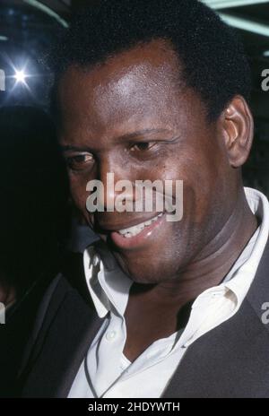 ***PHOTO** Sidney Poitier est décédé.Sidney Poitier Circa années 1980.Crédit: Ralph Dominguez/MediaPunch crédit: MediaPunch Inc/Alay Live News Banque D'Images