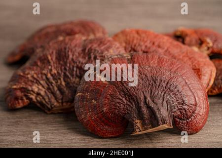 Champignon lingzhi séché isolé sur fond blanc avec chemin de coupure. Banque D'Images