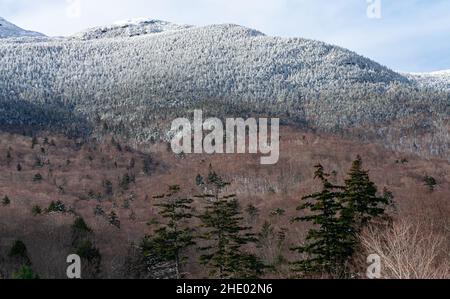 Montagnes enneigées entourées d'un champ de pins et d'érables Banque D'Images