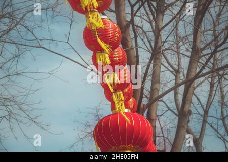 Lanternes en papier rouge sur les branches des arbres contre un ciel bleu.Un symbole de richesse et de prospérité.La tradition de célébrer le nouvel an en Asie. Banque D'Images