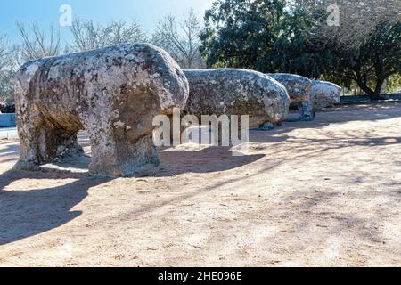 Les Bulls de Guisando sont un groupe sculptural de Vetón qui est situé sur la colline de Guisando, à côté de la Cañada Real Leonesa Oriental, dans la municipalité de Banque D'Images