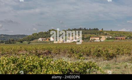 Vue sur les vignes d'un petit village méditerranéen sur une colline avec des bâtiments en terracotta Banque D'Images