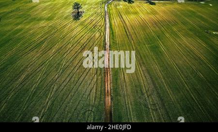 Terres agricoles rurales avec chenilles pour pneus de tracteur Banque D'Images