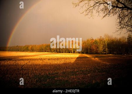 Un arc-en-ciel vu près de la route de A12 dans l'Essex, en Angleterre, pendant la saison de la douche à la fin de l'automne Banque D'Images