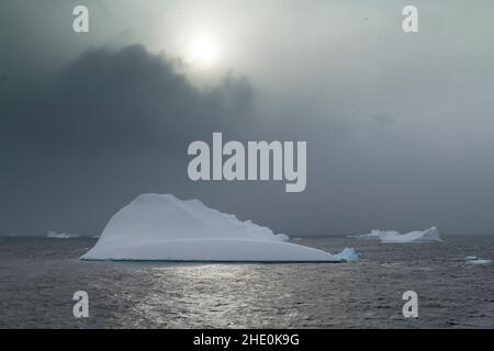 Un iceberg flotte dans la baie de Wilhelmina, en Antarctique. Banque D'Images