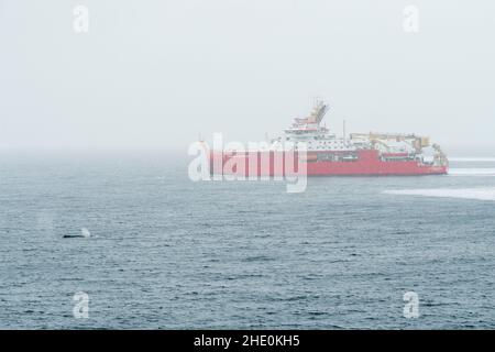 Une baleine à bosse se trouve devant le navire Sir David Attenborough, alors qu'il navigue au large de la côte de l'Antarctique. Banque D'Images