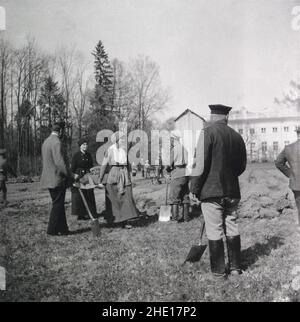 La fille de Tsar Nicholas II, la Grande Duchesse Tatiana, travaillant dans le jardin alors qu'elle était en exil au palais Alexandre (Tsarskoye Selo) près de Topolsk, avant d'être transférée à Ekatrinberg (Sverdlovsk) pour leur emprisonnement et exécution finals. Banque D'Images