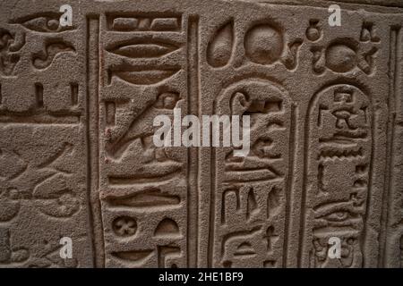 Hiéroglyphes égyptiens anciens comprenant plusieurs animaux comme un faucon sur le mur du temple à Edfu, en Égypte. Banque D'Images