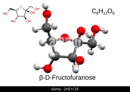 Formule chimique, formule structurale et modèle à 3D boules et bâtons de bêta-D-fructofuranose, fond blanc Banque D'Images