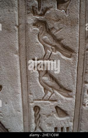 Hiéroglyphes égyptiens anciens d'oiseaux, faucons probables au temple d'Horus à Edfu, en Égypte. Banque D'Images