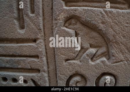 Un ancien hiéroglyphe égyptien sculpté d'une grenouille ou d'un crapaud sur le mur du temple à Edfu, en Égypte. Banque D'Images