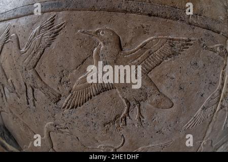 Sculptures égyptiennes anciennes d'un troupeau de cormorans sur les murs en pierre du Temple de Hatshepsut en Égypte. Banque D'Images