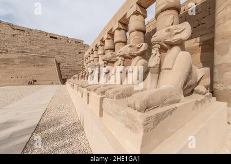 Une rangée de statues de sphinx à tête de bélier dans le temple de Karnak en Égypte. Banque D'Images