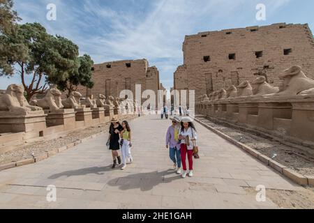 Des rangées de Sphinxes bordent la route menant au temple de Karnak en Égypte. Banque D'Images