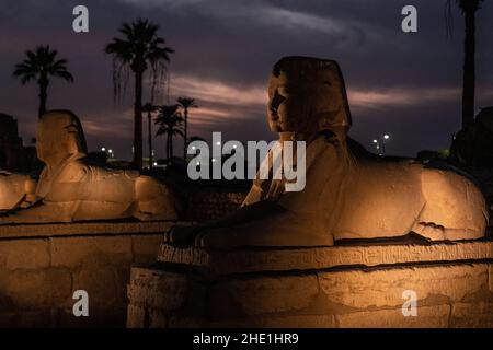 L'avenue des sphinx ou route des béliers (El Kebash), un monument historique bordé de statues à Louxor, en Égypte, après la nuit illuminée par des lumières. Banque D'Images