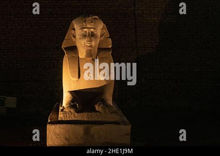 Une statue d'un sphinx, l'un des plus de 600 qui se dresse le long de la route des béliers ou de l'avenue des sphinx reliant le temple de Louxor à Karnak en Égypte. Banque D'Images