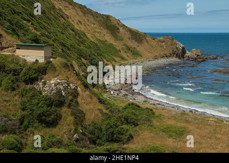 Cachez-vous pour observer les oiseaux à Roaring Bay près de Nugget point à Otago, sur l'île du Sud de la Nouvelle-Zélande Banque D'Images