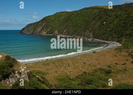 Côte dans la baie de Roaring près de Nugget point à Otago, sur l'île du Sud de la Nouvelle-Zélande Banque D'Images