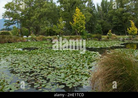 Jardins de Queenstown à Otago, sur l'île du Sud de la Nouvelle-Zélande Banque D'Images