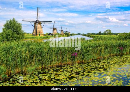 Moulins à vent traditionnels en bois dans le parc des moulins à vent de Kinderdijk, Hollande-du-Sud, pays-Bas Banque D'Images
