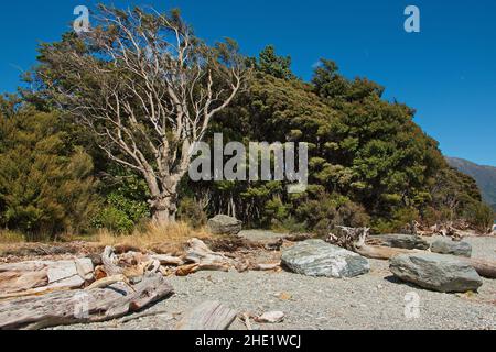 Vue sur le lac Wanaka depuis le camping Boundary Creek à Otago, sur l'île du Sud de la Nouvelle-Zélande Banque D'Images