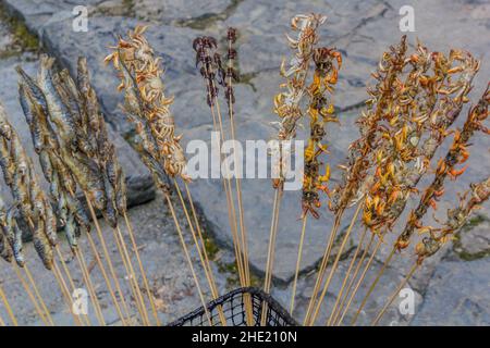 Brochettes de poissons, d'insectes et de crabe à vendre à la cascade de Liusha près du village de Dehang Miao, province de Hunan, Chine Banque D'Images