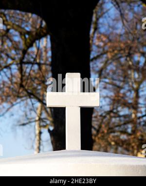 Croix du cimetière chrétien avec un grand arbre qui pousse derrière. Banque D'Images