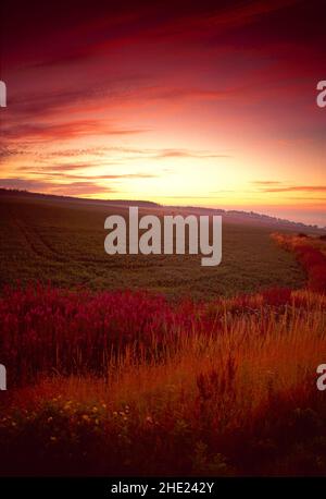 Royaume-Uni, Écosse, Tayside, vue sur la vallée agricole, Dawn, Banque D'Images